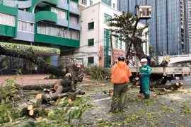 Lực lượng công nhân tổ chức khắc phục hậu quả bão số 9 ngay khi ngớt gió