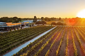 Thưởng thức rượu vang hảo hạng tại thung lũng Swan, Tây Australia