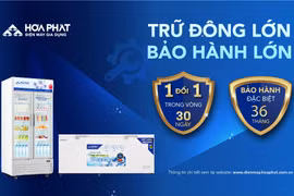 Hòa Phát nâng cấp bảo hành tủ đông, tủ mát lên 36 tháng
