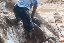 Lực lượng chức năng xã Trà Đốc (Đà Nẵng) kịp thời cứu nạn nhân bị lũ cuốn trôi, vùi sâu dưới lớp bùn.