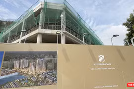 Masterise Homes - tên tuổi gắn với bất động sản cao cấp tại Việt Nam đã xuất hiện tại Đà Nẵng với vai trò là đơn vị phát triển dự án The Estuary Đà Nẵng.