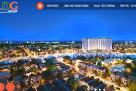 Sức tăng trưởng “thần kỳ” của cổ phiếu LDG (Ảnh chụp website LDGGroup).
