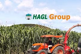Vốn điều lệ HNG lại sắp tăng thêm 1.500 tỷ đồng: Phát hành cho ai? (Ảnh: Internet)