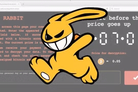 Có tên là “Bad Rabbit”, mã độc này là minh chứng mới nhất cho thấy tội phạm mạng đang dùng ransomware để moi tiền từ các nạn nhân trên toàn cầu. (Ảnh: CNN)