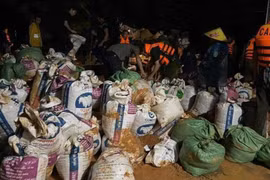 Vỡ đê sông Lô tại Tuyên Quang, di dời 35 hộ dân
