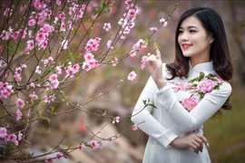 Chốt lịch nghỉ Tết Nguyên đán Ất Tỵ và các ngày lễ trong năm 2025