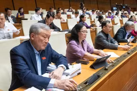 Sẽ giám sát điện tử người chưa thành niên phạm tội