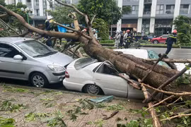 Hậu bão số 3: Hà Nội hỗ trợ 9 địa phương 51 tỷ đồng, chỉ đạo phương án xử lý cây xanh gãy đổ
