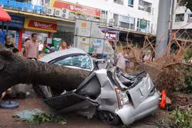 Hà Nội tan hoang do bão Yagi, 54 ô tô bị hư hỏng