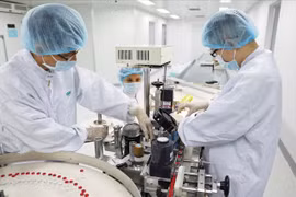 Việt Nam thuộc nhóm quốc gia có mức tăng trưởng ngành dược lớn nhất thế giới.