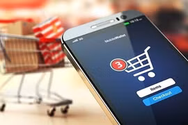 Nhiều mặt hàng giá trị lớn được mua sắm qua các trang thương mại điện tử