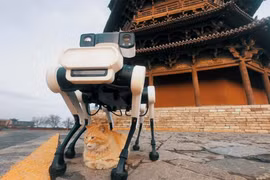 Robot 6 chân