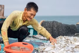 Thương mại điện tử là chìa khóa giúp người làm nông nghiệp và nghề cá tiêu thụ được nông sản và hải sản