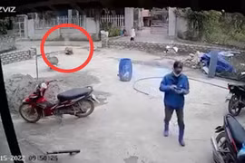 Ảnh cắt từ clip