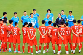 Đội tuyển Việt Nam đã không bảo vệ được ngôi vương tại AFF Cup. Ảnh BTC.