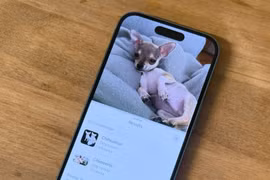 iPhone 16