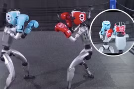 Robot của công ty Unitree Robotics trình diễn kỹ năng quyền anh đối kháng. Ảnh: IE