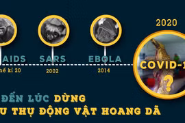Nhiều dịch bệnh có nguồn gốc từ động vật hoang dã (ảnh: ENV)