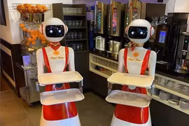 Robot phục vụ tại nhà hàng ở Hà Lan (ảnh: The Verge)