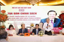 Các chuyên gia lão thành chia sẻ ý kiến tại tọa đàm về phát triển kinh tế tư nhân