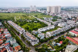 Nên ứng dụng trí tuệ nhân tạo trong việc xây dựng giá đất