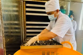 Lạng Sơn đặt mục tiêu phát triển nguồn nhân lực và nghiên cứu khoa học có trình độ chuyên môn cao cả về y học cổ truyền.