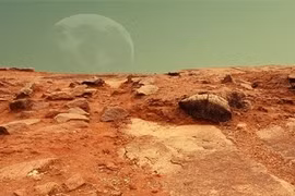 NASA đang nghiên cứu để tìm ra loại cây có thể trồng trên sao Hỏa. Ảnh: Public Domain.