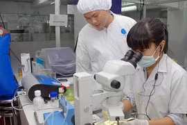 ​Các hoạt động thúc đẩy phát triển hệ sinh thái khởi nghiệp diễn ra rất sôi động.