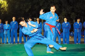 Võ sư Lê Hải Bình trên sàn tập võ Vovinam 