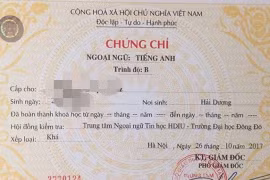 Chứng chỉ ngoại ngữ