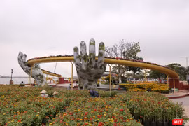 Đường hoa Xuân Kỷ Hợi 2019 tại phía tây Cầu Rồng (TP Đà Nẵng) có điểm nhấn là mô hình cây Cầu Vàng trên đỉnh Bà Nà
