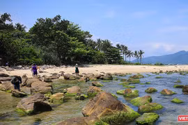 Một góc gềnh Nam Ô, quận Liêu Chiểu, TP Đà Nẵng