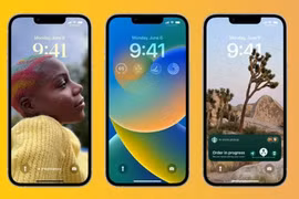 Ảnh: Google