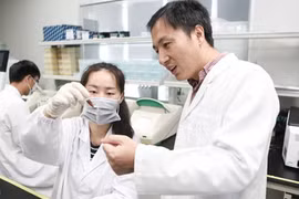 Ông He Jiankui và nhóm nghiên cứu chỉnh sửa gene trên người. Ảnh: BI