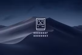Ảnh: Gizmodo