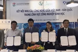 Ảnh minh họa