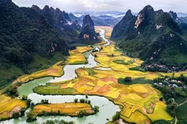 Ảnh minh họa
