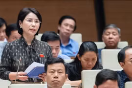 Đại biểu Trần Thị Nhị Hà nêu thực trạng về quy định suất vốn đầu tư công trình y tế.