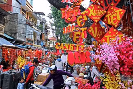 Chợ hoa Tết Hàng Lược rực rỡ đủ loại đồ trang trí ngày Tết.