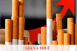 Gánh nặng bệnh tật do thuốc lá ở Việt Nam cao hơn trung bình toàn cầu