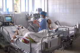 Ca mắc cúm A(H5N1) đầu tiên tử vong, Bộ Y tế lo ngại nguy cơ lây cúm gia cầm sang người