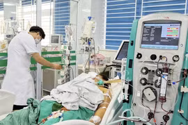 Coi chừng xoắn khuẩn - mầm bệnh ẩn trong nước lũ