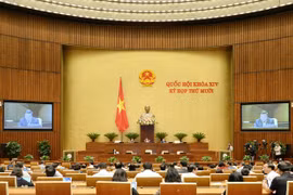 Kỳ họp thứ 10, Quốc hội khóa XIV 
