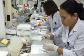 Nếu không có các văn bản thay thế Nghị định 07 và Nghị quyết 30 của Chính phủ, các cơ sở y tế có thể tiếp tục thiếu thuốc, vật tư phục vụ khám, chữa bệnh