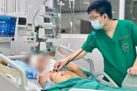 Nam sinh 17 tuổi bị viêm não Nhật Bản, phải sống đời thực vật dù được điều trị tích cực