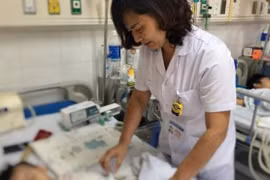 Báo động bệnh ấu trùng giun đũa chó, mèo do thói quen ôm ấp thú cưng