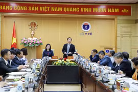 Phó Thủ tướng Trần Hồng Hà làm việc với Bộ Y tế về việc tháo gỡ những khó khăn mà ngành Y đang đối mặt
