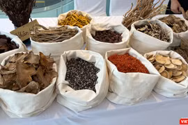 Báo động: Hàng loạt cơ sở dược liệu cổ truyền vi phạm chất lượng