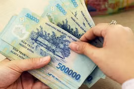 Ảnh minh họa (Nguồn: Internet)