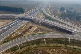 Ảnh minh họa (Nguồn: Internet)